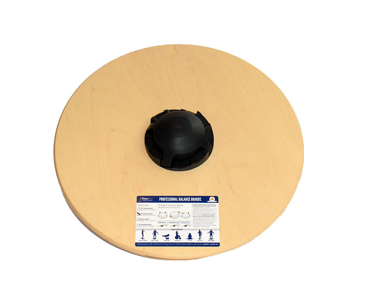 Wobble Board Image 2