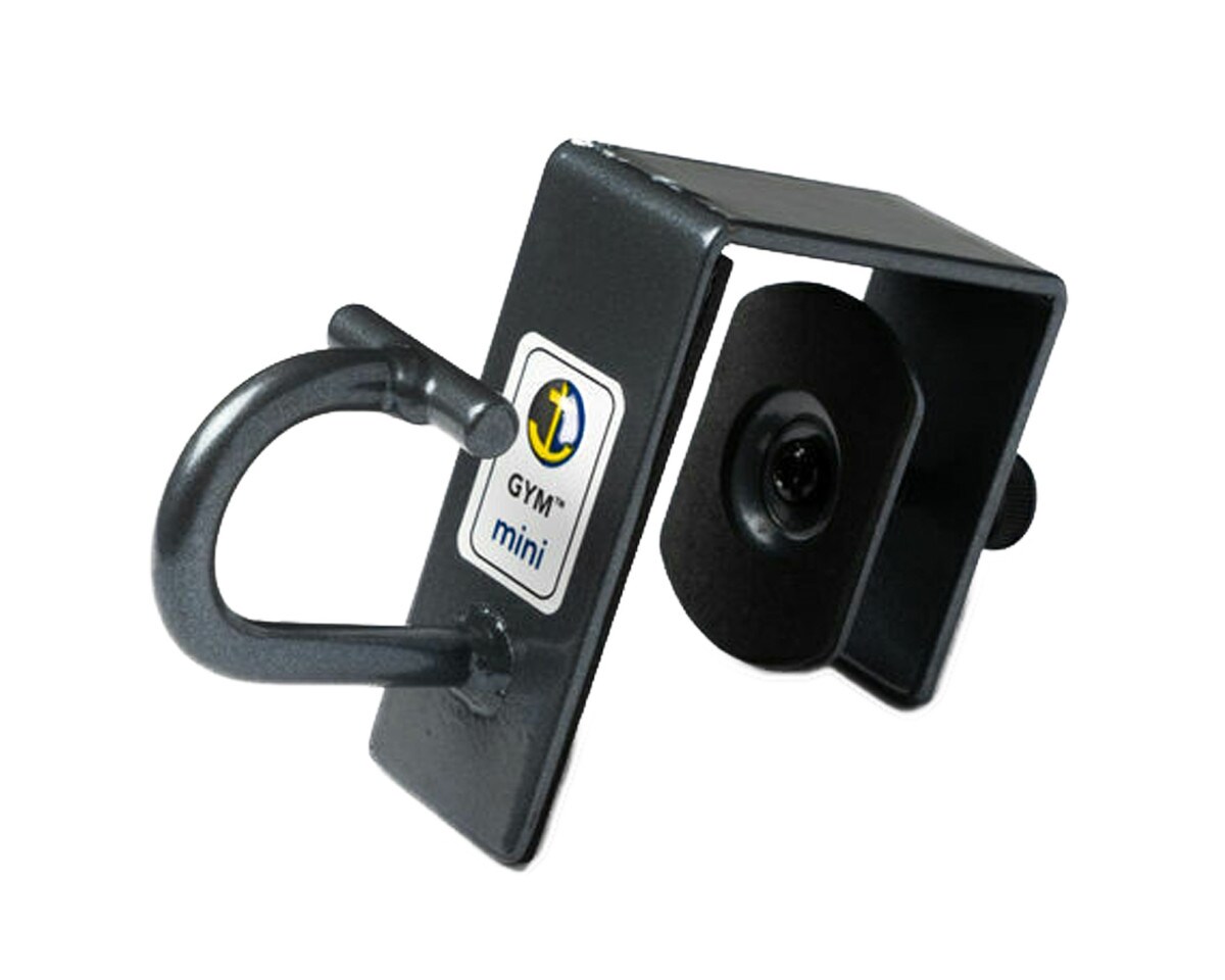 Anchor Gym Door Mount Mini H1 Image 1