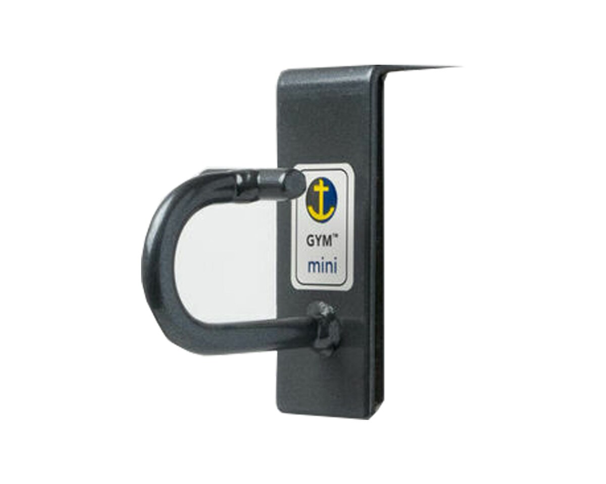 Anchor Gym Door Mount Mini H1 Image 4