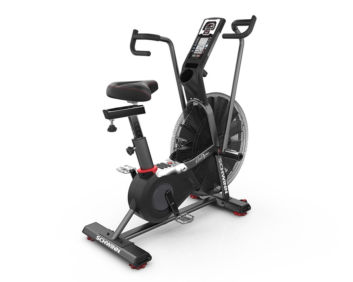 Schwinn AD7 Airdyne Image 1