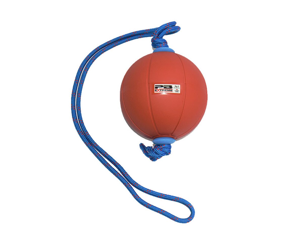 PB Extreme Converta-Ball Image 2